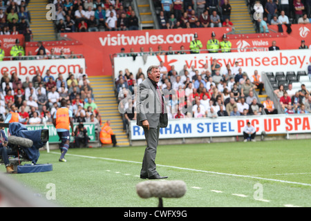 Die vielen Gesichter von Sam Allardyce als He Uhren sein Team West Ham, verlieren drei Null Weg von zu Hause bei Swansea City. Stockfoto