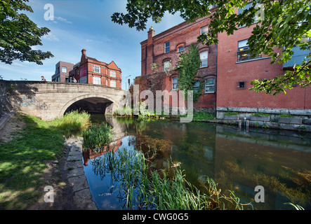 Bäume und Gebäude spiegeln sich in den Canal Grande, Dublin, Irland im Sommer in der Nähe von Baggot Street Bridge Stockfoto