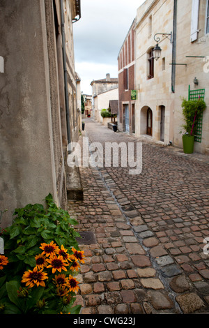 Eine schmale Straße mit leuchtend orangen Blüten in Saint Emilion, Südfrankreich Stockfoto