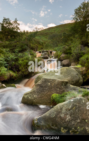 Torf befleckt Gebirgsbach in Flut nach starken Regenfällen. Bleaklow Peak District National Park Derbyshire England Stockfoto