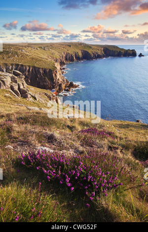 Landet, Ende, West Cornwall, UK, South West Coast Path, Sonnenuntergang, Heidekraut, bunten Abend Licht, zerklüftete Landschaft, Klippen, England Stockfoto