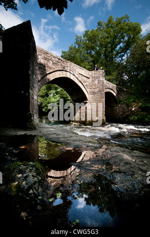 Dartmoor National Park, New Bridge on River Dart, in der Nähe von Holne Woods Dartmoor, Devon, England, Großbritannien Stockfoto