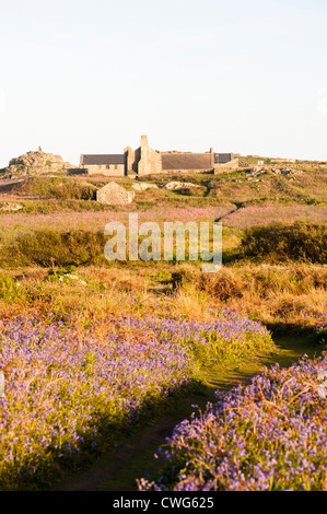 Der alte Bauernhof, Skomer, South Wales, Vereinigtes Königreich Stockfoto