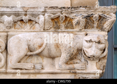 Detail des mittelalterlichen Steinbildhauen Nîmes Kathedrale zeigt Löwen Nîmes, Frankreich Stockfoto