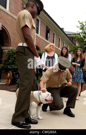 Sergeant Chesty XIII, das offizielle Maskottchen Marinekorps, steht im Zentrum zu Fuß nachdem er seinem aktuellen Rang während einer Zeremonie in der Kaserne 1. Juni 2012 gefördert. Bekannt für seine harten, muskulösen und aggressiv aussehen, hat die englische Bulldogge als Korporal seit Mai 2010 tätig. Sgt. Chesty ist immer im Dienst an der Kaserne, motivierende Zuschauer und Gäste bei zahlreichen Auftritten im in- und Ausland. Stockfoto