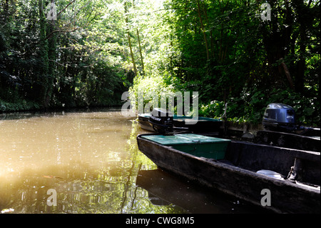 Les Hortillonnages, Viermastbark Kornett, Amiens, Somme, Picardie, Frankreich Stockfoto