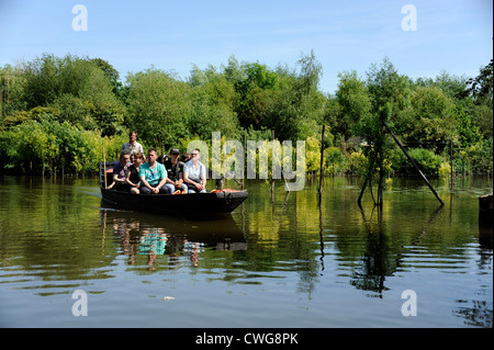 Les Hortillonnages, Viermastbark Kornett, Amiens, Somme, Picardie, Frankreich Stockfoto