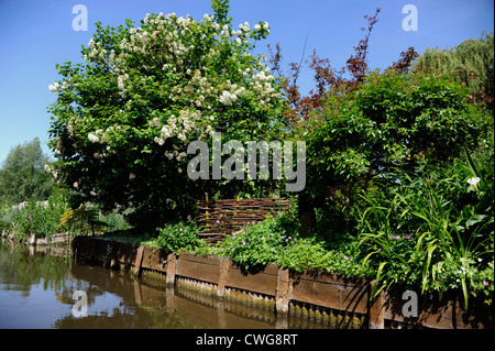 Les Hortillonnages, Amiens, Somme, Picardie, Frankreich Stockfoto