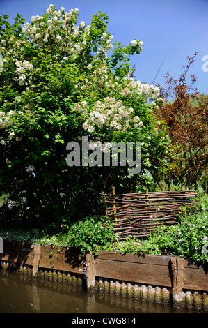 Les Hortillonnages, Amiens, Somme, Picardie, Frankreich Stockfoto