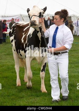 Das 98. landwirtschaftliche Wensleydale Show, Samstag, 25. August 2012, Leyburn, North Yorkshire, UK Stockfoto