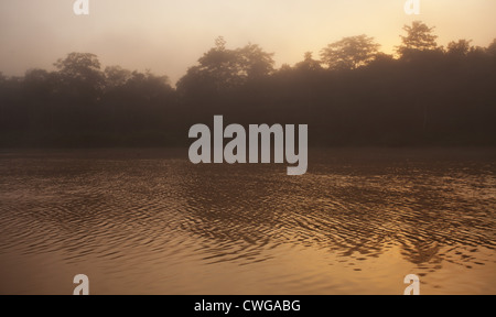 Sonnenaufgang am Kinabatangan Fluss, Sabah, Malaysia Stockfoto