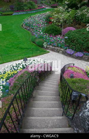 Mit Blick auf die versunkenen Gärten in den Butchart Gardens, Victoria, Britisch-Kolumbien Stockfoto