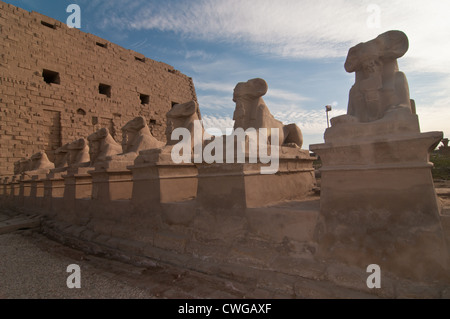 Ägyptische Statuen bilden Karnak, eine breite Mischung aus verfallenen Tempel, Kapellen, Pylone und andere Gebäude. Stockfoto