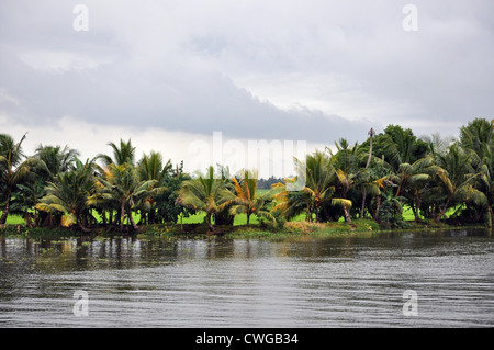 Säumen die Ufer der Backwaters in Alleppey, Kerala, Indien Stockfoto