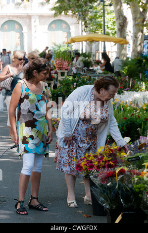 Beziers Blumenmarkt, Allee-Paul Riquet, Languedoc, Frankreich Stockfoto