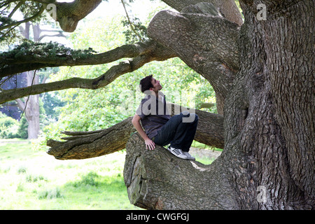 England Dorset Sherborne Sherborne Castle Ruins of Baumriesen inmitten der Abtei Stockfoto
