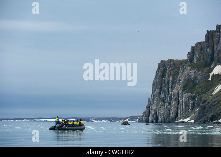 Zodiac cruise am Alkefjellet Vogel Felsen mit Brünnichs Trottellummen nisten, Uria Lomvia, Spitzbergen, Svalbard, Arktis Stockfoto