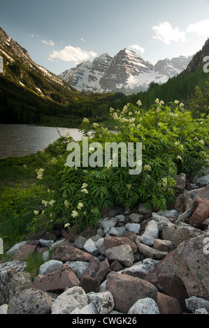 Maroon Bells und Maroon Bell See, Maroon Bells Wildnis, Aspen, Colorado. Stockfoto