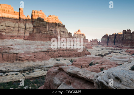 Ein Mann im Stadtteil Nadeln des Canyonlands National Park, Monticello, Utah wandern. Stockfoto