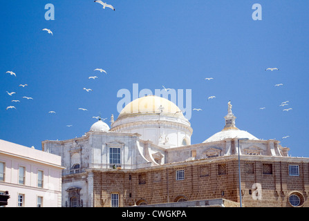 Spanien, Catedral de Santa Cruz de Cadiz (Kathedrale von Cadiz) Stockfoto