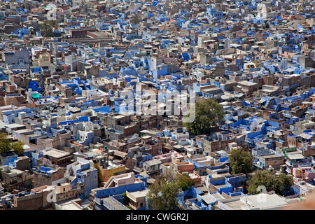 Blick über Häuser in die blaue Stadt Jodhpur, Rajasthan, Indien Stockfoto