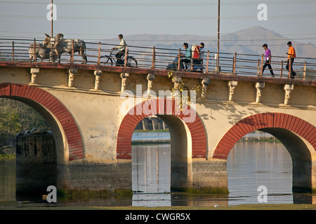 Verkehr und Kühe auf der Brücke über den Fluss Ahar in Udaipur / Stadt der Seen, Rajasthan, Indien Stockfoto