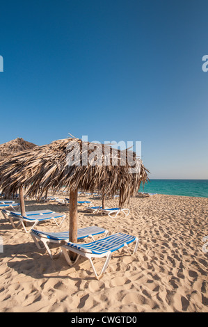 Liegestühle und Sonnenschirme im Sol Cayo Santa Maria Resort, Cayo Santa Maria, Kuba. Stockfoto