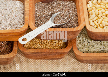 Chia und andere gesunde Samen (gold und braun Flachs, Hanf. Pinienkerne) in Holzschale mit Dosierlöffel Tee Stockfoto