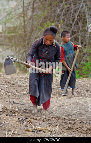 ANN TRIBAL Dorfbewohner Pflügen die Erde per Hand in einem Dorf in der Nähe von KENGTUNG oder KYAINGTONG - MYANMAR Stockfoto