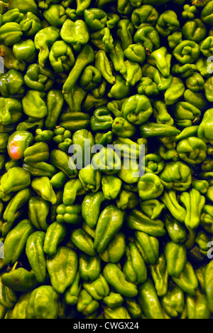 Scotch Bonnet grüne Paprika auf Verkauf im spanischen Markt Stockfoto