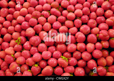Nahaufnahme Bild von frischen Erdbeeren auf Santa Caterina Markt, Barcelona, Spanien Stockfoto