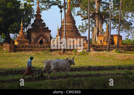 Ein Bauer PFLÜGT vor buddhistischen STUPAS in historischen INWA diente als die Birmanen Königreiche Hauptstadt seit 400 Jahren - MYANMAR Stockfoto