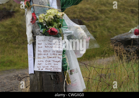 Blumen gebunden an einen Zaun auf Saddleworth Moor in Hommage an Winnie Johnson und Mauren Mord Opfer Sohn Keith Bennett Stockfoto