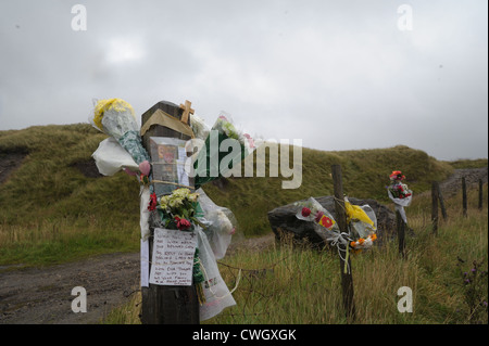 Blumen gebunden an einen Zaun auf Saddleworth Moor in Hommage an Winnie Johnson und Mauren Mord Opfer Sohn Keith Bennett Stockfoto