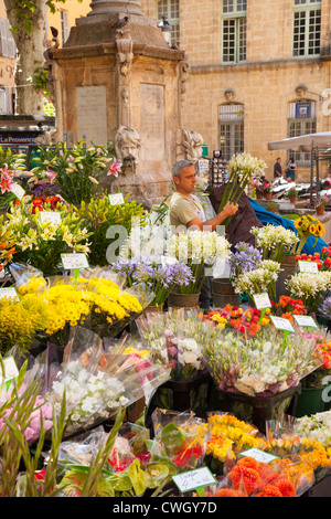 Mann, Verkauf von Blumen am Markttag in Aix en Provence, Frankreich Stockfoto