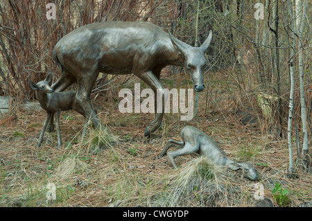 Skulpturen der Maultierhirsch, High Desert Museum, Bend, Oregon Stockfoto