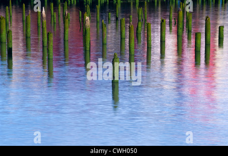 Wunderschönen Sonnenaufgang Licht auf hundert-Jahr-alten Pfählen bei Flut am Columbia River, Astoria, Oregon, USA Stockfoto