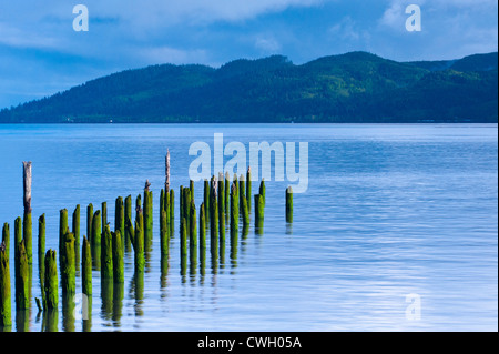 Wunderschönen Sonnenaufgang Licht auf hundert-Jahr-alten Pfählen bei Flut am Columbia River, Astoria, Oregon, USA Stockfoto