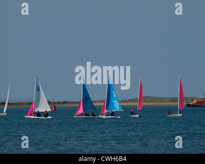 Laser-Jollen Segeln rund um die Bucht Instow, Devon, UK Stockfoto