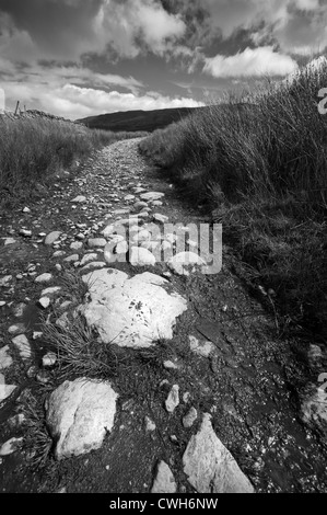 Bwlch-y-Ddeufaen Bergpass Carneddau Bereich Nord Snowdonia Stockfoto