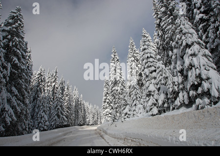 Winterlandschaft mit Straße im Schnee. Rodopi-Gebirge, Bulgarien Stockfoto