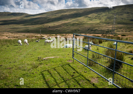 Bwlch-y-Ddeufaen Bergpass Carneddau Bereich Nord Snowdonia Stockfoto