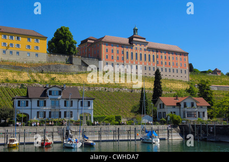 Meersburg, staatliche Weinberge, Bodensee, Bodensee, Baden-Württemberg, Deutschland, Europa Stockfoto