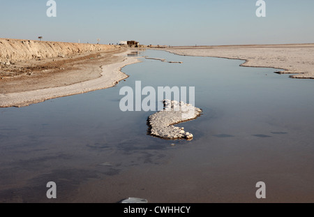 Chott el Jerid (größte Salzsee in Nordafrika), Tunesien Stockfoto