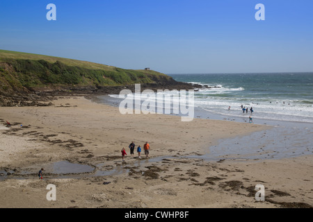 Porthcurnick Beach Rosevine, Nr. Portscatho, Cornwall TR2 5EW Stockfoto