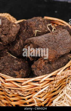 Irische Rasen für das Brennen als Brennstoff in einem Weidenkorb Stockfoto