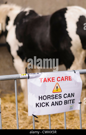 Melden Sie sich bei einem Pferd faire Warnung, die Pferde treten und beißen kann. Stockfoto