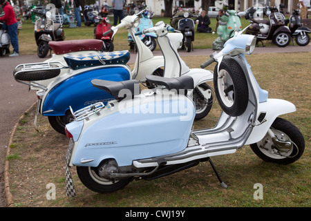 Klassischen Lambretta Roller zu den internationalen Scooter Rally Isle Of Wight, England UK Stockfoto