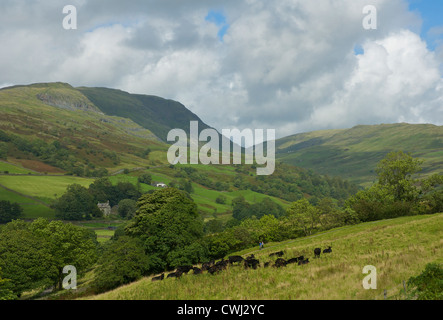 Blick auf rot Geröllhalden und steile Straße bis Kirkstone Pass (bekannt als "The Struggle"), Lake District National Park, Cumbria, England Stockfoto