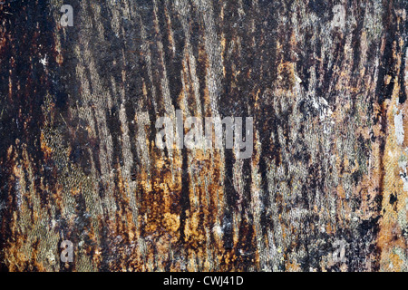 Alten verwitterten glasfaserverstärktem Kunststoff Hintergrundtextur Stockfoto
